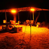 MEAN MOTHER 12V Flexible led Strip Light 600mm Amber